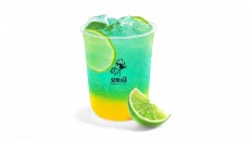 Citrus Lime Fizz