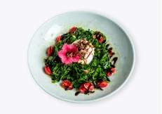 Sallate Burrata