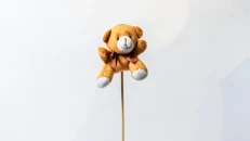 Mini Arush Shkop
