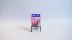 Lost Mary Blueberry