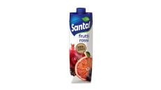 Santal 10 Vitaminat Karton 1L