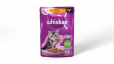 Whiskas Delight Junior 85Gr