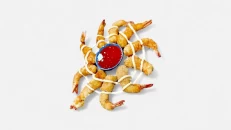 Karkalec Tempura