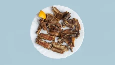 Paidhaqe Qingji