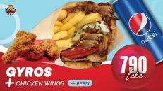 Foodini Gyros Combo
