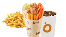 Chicken Gyros Combo