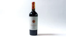 Uco Valley Clos de Los Siete