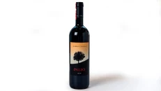 Bolgheri Le Macchiole Paleo