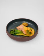 Healthy Salmon