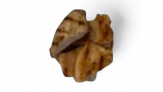 Pulë