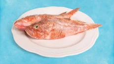 Skarpi