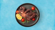 Oktapod Zgare