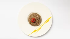 Quinoa me Tartuf