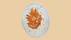 Salmon Crudo
