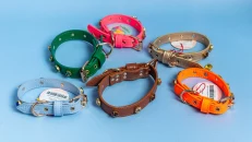 Tailpetz Collar