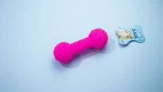 Toy Pet Per Mace Dhe Qen