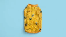 Veshje per Mace & Qen Yellow