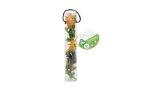 Early Learning Centre Mini Amphibians