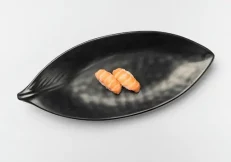 Sake Nigiri