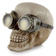 Kafkë në stilin Steampunk me syze mbrojtëse