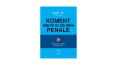 COMMENT ON THE CRIMINAL PROCEDURE LARA D.