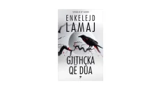 Everything I Want by Enkelejd Lamaj