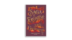 The Forsyte Saga Volume I