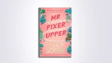 Mr. Fixer Upper