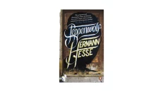 Steppenwolf by Hermann Hesse