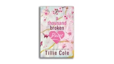 A Thousand Broken Pieces