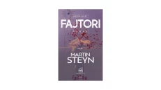 The culprit - Martin Steyn