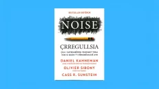 Noise Irregularity - Daniel Kahneman