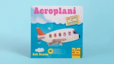 A Baby Is Traveling - Airplane