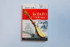 The Highland Lute in Prose