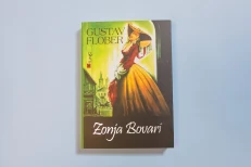Madame Bovary