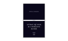 The letters you never sent me - Irena Shabani