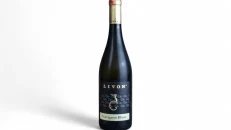 Livon Sauvignon Blanc DOC