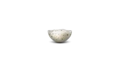 Garlic Dip