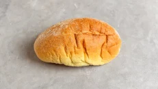 Panine