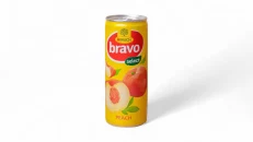 Bravo Pjeshke