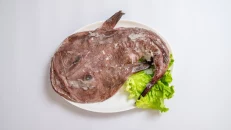 Peshkatriçe
