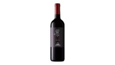 Syrah Sallier de la Tour