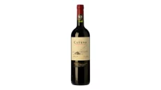 Catena Cabernet Sauvignon