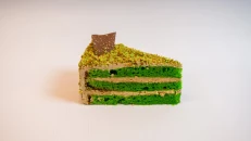Pistachio Cake