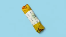 Vegan Wrap