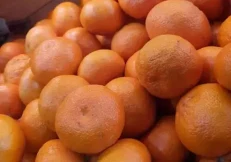 Mandarina të importuara 1 kg