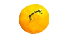 Mandarina