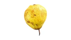 Dardh 500kg