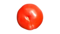 Domate 500gr