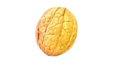 Arra Cilesore 500gr